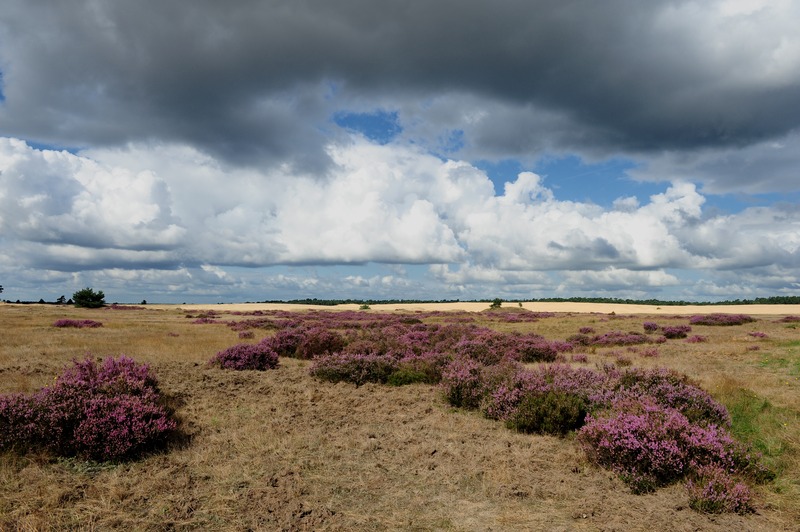 2011_Heide_Lucht_Marten_Idema_niet_aansnijden
